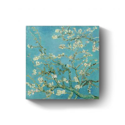Amandelbloesem door Vincent van Gogh