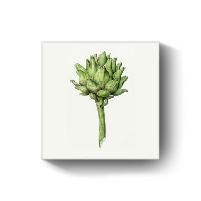 Artichoke door Jean Bernard